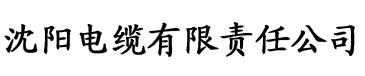 91 香蕉污电缆厂logo